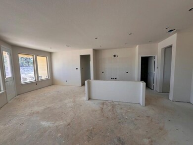 115 Brush Creek Dr, Boyd, TX 76023 - photo 6