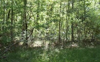 0 Dingo Way unit 86644, Fort White, FL 32038 - photo 3