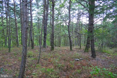 115 Trough View Rd, Moorefield, WV 26836 - photo 2