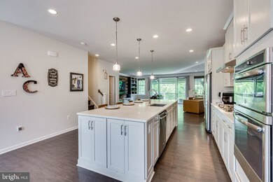 25031 Cambridge Hill Terrace, Chantilly, VA 20152 - photo 7