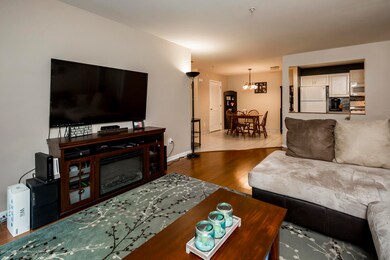 Living Room-5