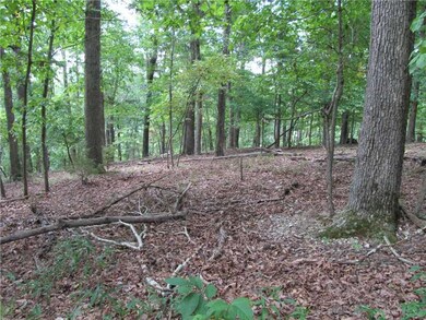 0 Timber View Ln, Rogers, AR 72756 - photo 2