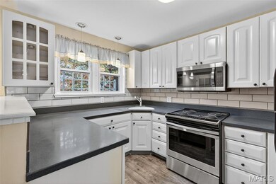 3900 Louis St, Saint Louis, MO 63116 - photo 7