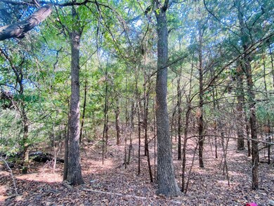 TBD County Road 263, Gainesville, TX 76240 - photo 3