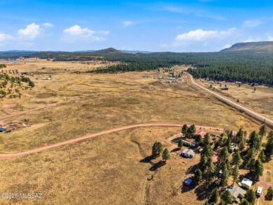 LOT 35 the Ranch at Alpine unit 35, Alpine, AZ 85920 - photo 4