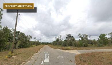0 Timberlake Dr unit 25712620, Chipley, FL 32428 - photo 5