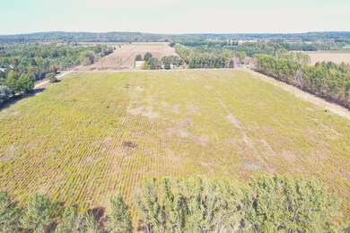 DJI_0289