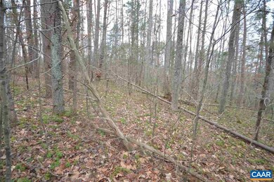 Lot C Lamm Rd, Monroe, VA 22968 - photo 3