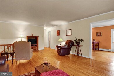 537 Weidman Ave, Reading, PA 19608 - photo 6