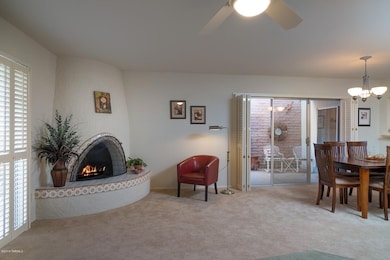 Woodburning Fireplace