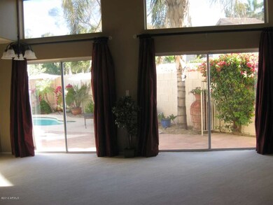 Living Room View of Back Yard