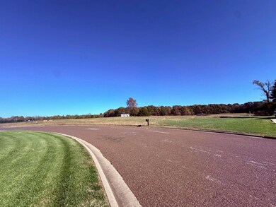 Lot 5 N Port Dr, Monett, MO 65708 - photo 4