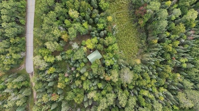 7885 Lake 14 Rd, Britt, MN 55710 - photo 3