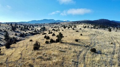 Highland Mountains/National Forest