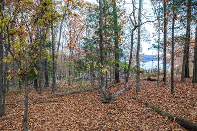 Tbd Whispering Hill Dr, Pine A Township, MO 65611 - photo 4