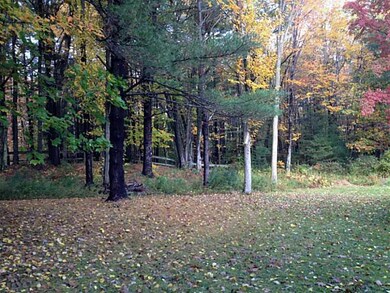 Back Yard.