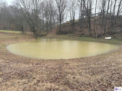 600 Cora Wilborn Rd, Summer Shade, KY 42166 - photo 2