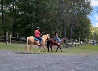 0 Mallard Ln unit PM-133763, Bushkill, PA 18324 - photo 6