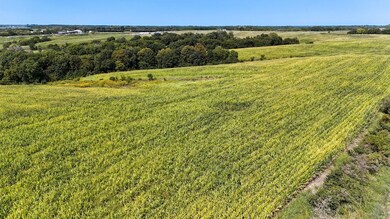 25069 McGruder Creek, Leon, IA 50144 - photo 5