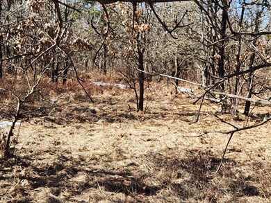 0 Koval Rd unit 22500378, Lyndon Station, WI 53944 - photo 7