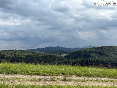 0 Tbd Topia Rd, Piney Creek, NC 28663 - photo 6