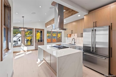 203 N Ridge St unit A, Breckenridge, CO 80424 - photo 4