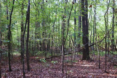 0 Mountain Rd, McCool, MS 39108 - photo 2