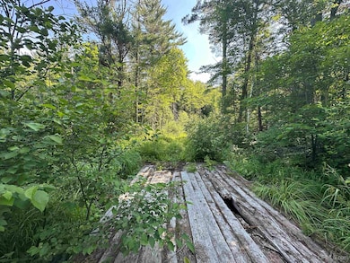 Off Indian Lake Rd, Michigamme, MI 49861 - photo 4