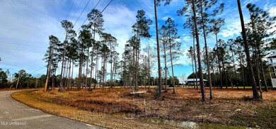 Lots 48-52 Kalaepohuku Dr, Diamondhead, MS 39525 - photo 6