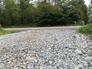 27148 Meridian E, Graham, WA 98338 - photo 3