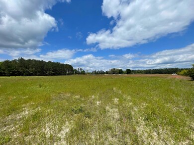 105 Rambling Ln, Cross, SC 29436 - photo 4