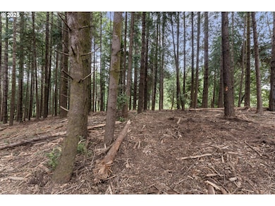 0 Newmark St unit 23622120, North Bend, OR 97459 - photo 3