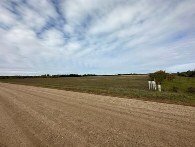 Lot 3, Block 2 Bear Path, Hudson Township, MN 56308 - photo 2