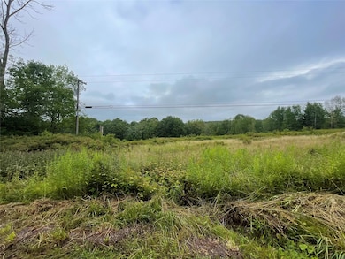 0 Basil Todd Rd, Middletown, NY 12430 - photo 6