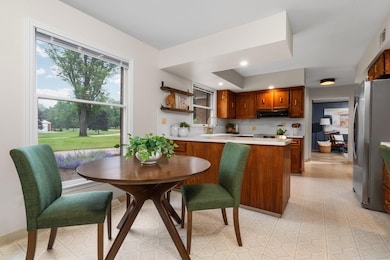 53-web-or-mls-DSC09170