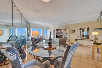 Dining / Living Area