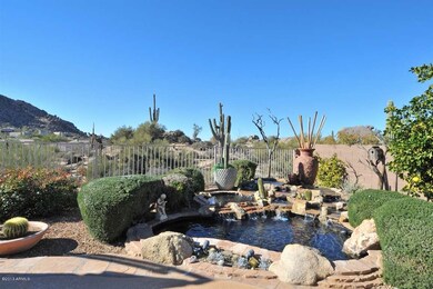 Water Feature