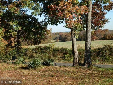 12300 Montford Rd, Orange, VA 22960 - photo 3