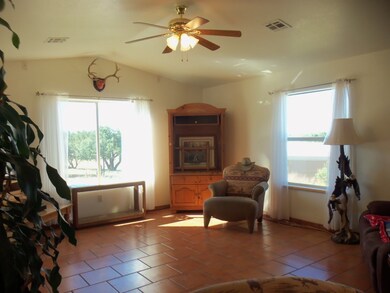 4375 Highway 15, Silver City, NM 88061 - photo 4