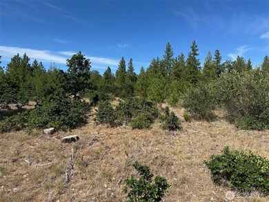 0 Section 5 unit NWM2408212, Goldendale, WA 98620 - photo 5