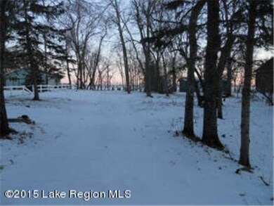 38638 Eldorado Beach Rd, Battle Lake, MN 56515 - photo 6