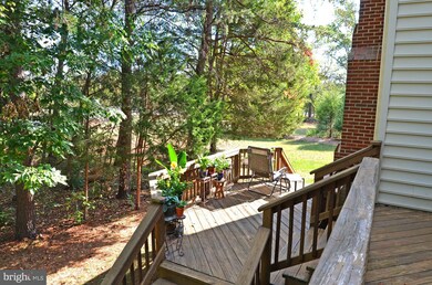 15558 Smithfield Place, Centreville, VA 20120 - photo 7