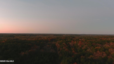 0 Lick Creek Rd unit 100542417, Sanford, NC 27330 - photo 3