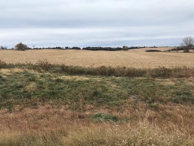 TBD New Haven (Site 18) Rd NW, Pine Island, MN 55963 - photo 3