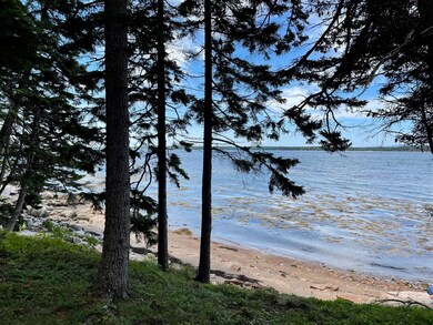 view of water front from bank