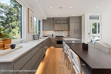 623 S Monarch St unit B, Aspen, CO 81611 - photo 4