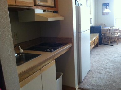 223 W Hunter Ridge Dr unit Brian Head North B31, Brian Head, UT 84719 - photo 5