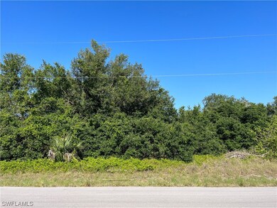 1621 Columbus Ave, Lehigh Acres, FL 33972 - photo 2