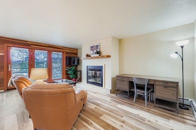 91300 Ryan Gulch Rd unit 91305, Silverthorne, CO 80498 - photo 6