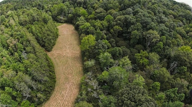 00 Peewee Cromer Rd, Danbury, NC 27016 - photo 7